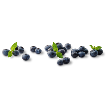 Spanien - Bio-Kulturheidelbeeren