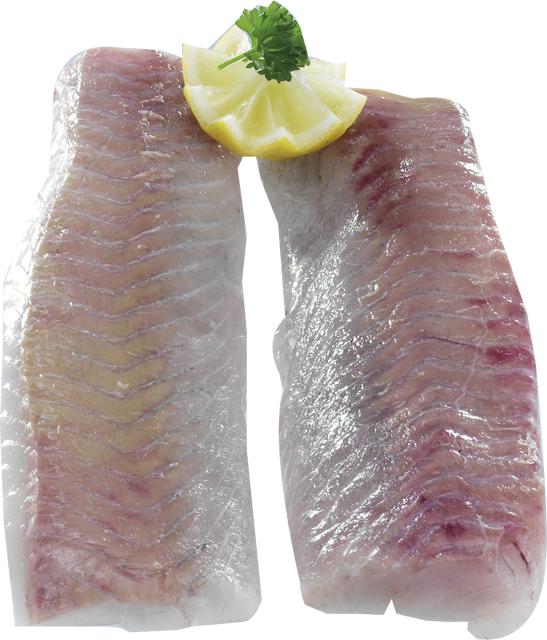 Seelachsrückenfilets
