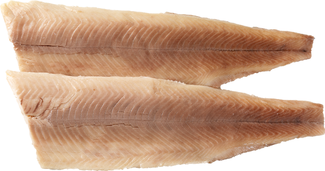 Forellenfilets