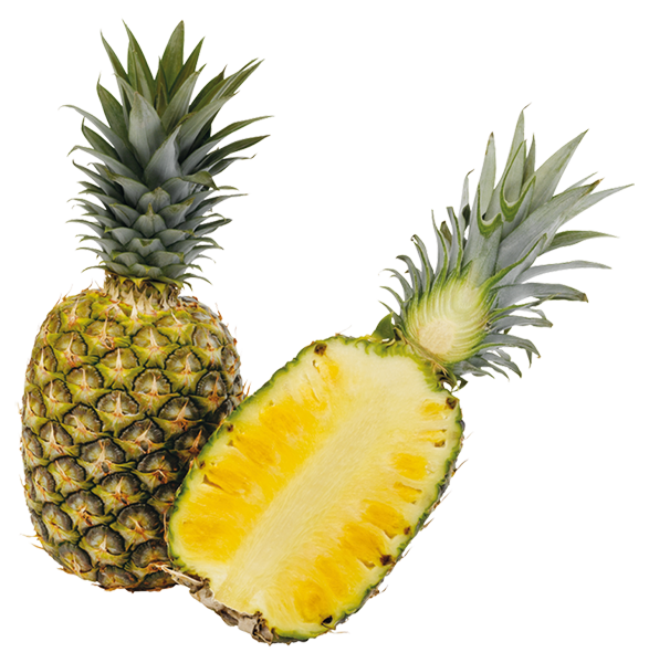 Costa Rica Ananas