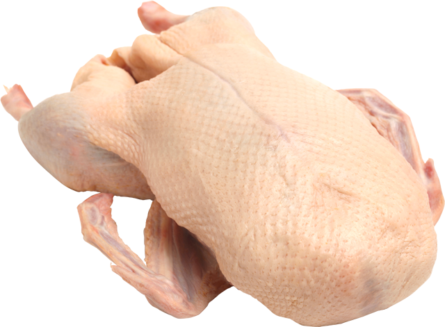 Frische deutsche Färberhof Gans 