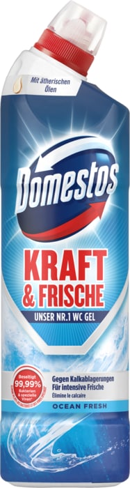 Domestos WC-Reiniger* oder -Stein