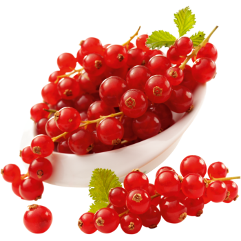 Deutschland - meinLand - Rote Johannisbeeren