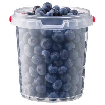 Deutschland - meinLand - Kulturheidelbeeren