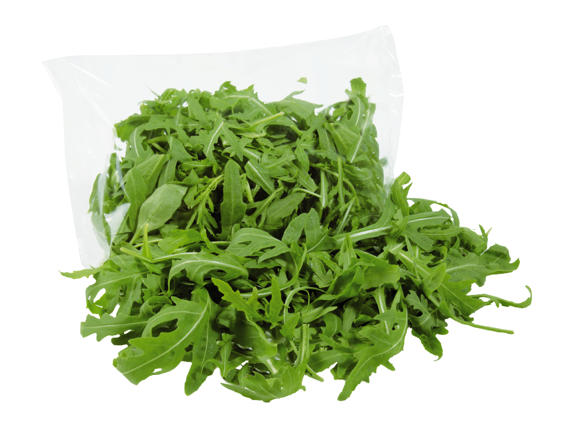 EDEKA Herzstücke Pflücksalat, Rucola oder Mini Blattspinat