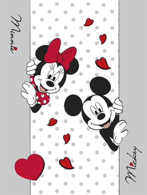 Mickey Mouse Wohndecke