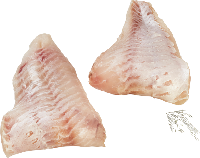 Am Freitag: ¹,²MSC Isländische?Rotbarschfilets
