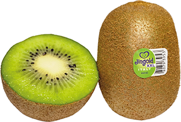 Griechenland Jingold Jumbo-Kiwi grün