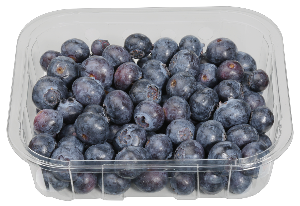 Bio Kulturheidelbeeren