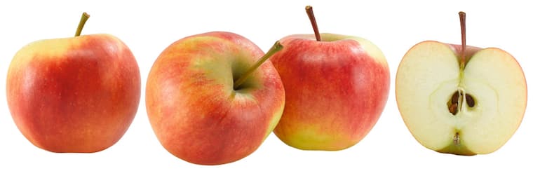 Fränkische Tafeläpfel rot