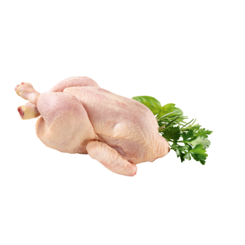 Frische Hähnchen