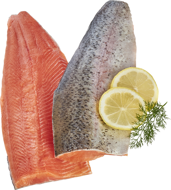 ²Rotfleischige Forellenfilets 