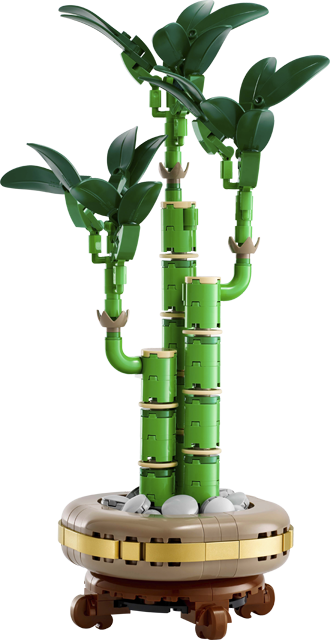 LEGO Botanicals Glücks-Bambus 10344