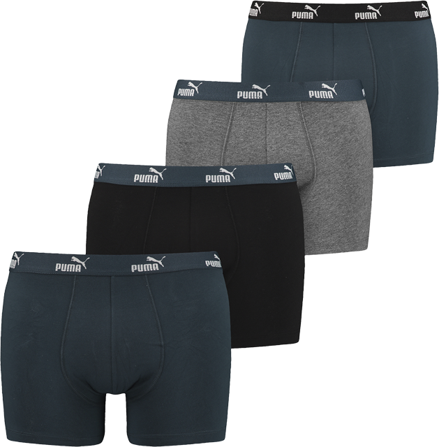 PUMA Herren Retroshorts