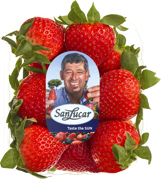 Ab Donnerstag: SanLucar Erdbeeren