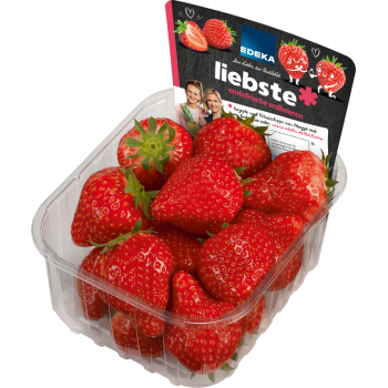 Niederlande - EDEKA - Erdbeeren