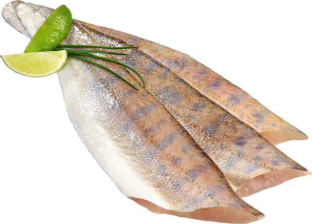 Frische Zanderfilets 
