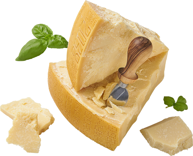 Parmigiano Reggiano DOP
