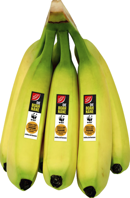 Gut & Günstig WWF Bananen