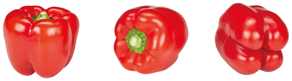 Niederlande/Spanien GUT/GÜNSTIG Paprika, rot