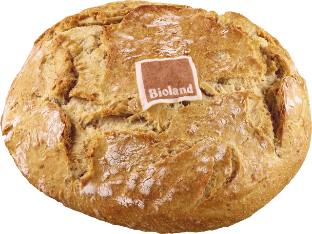 Aus der SB-Backstation: ³Bioland-Weizenkruste