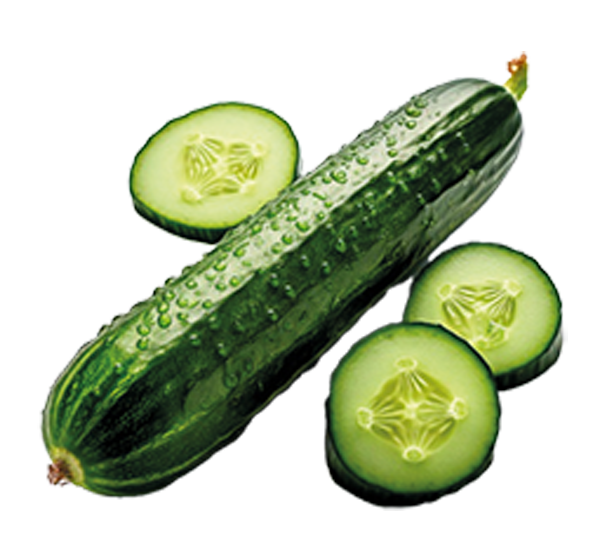 Deutschland/Niederlande/Spanien GUT&GÜNSTIG Salatgurken