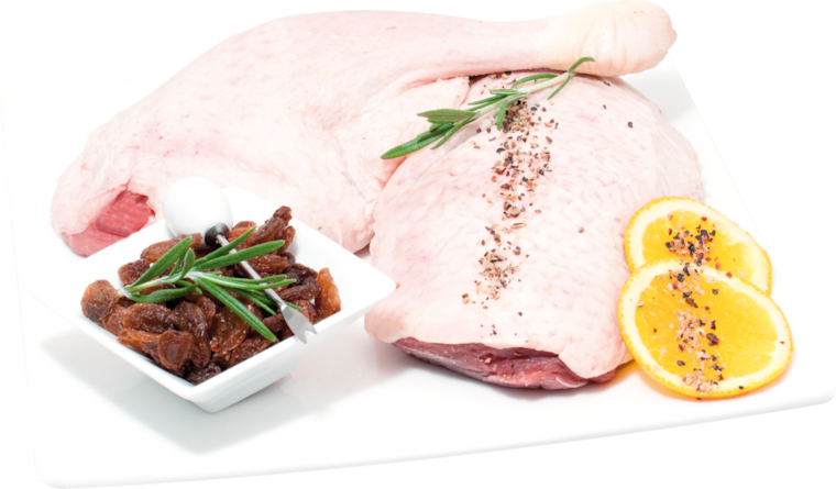 Markeruper Barbarie Entenschenkel