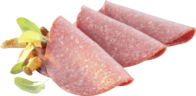 Aktiv Salami
