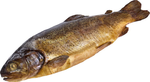 Geräucherte Forellen 