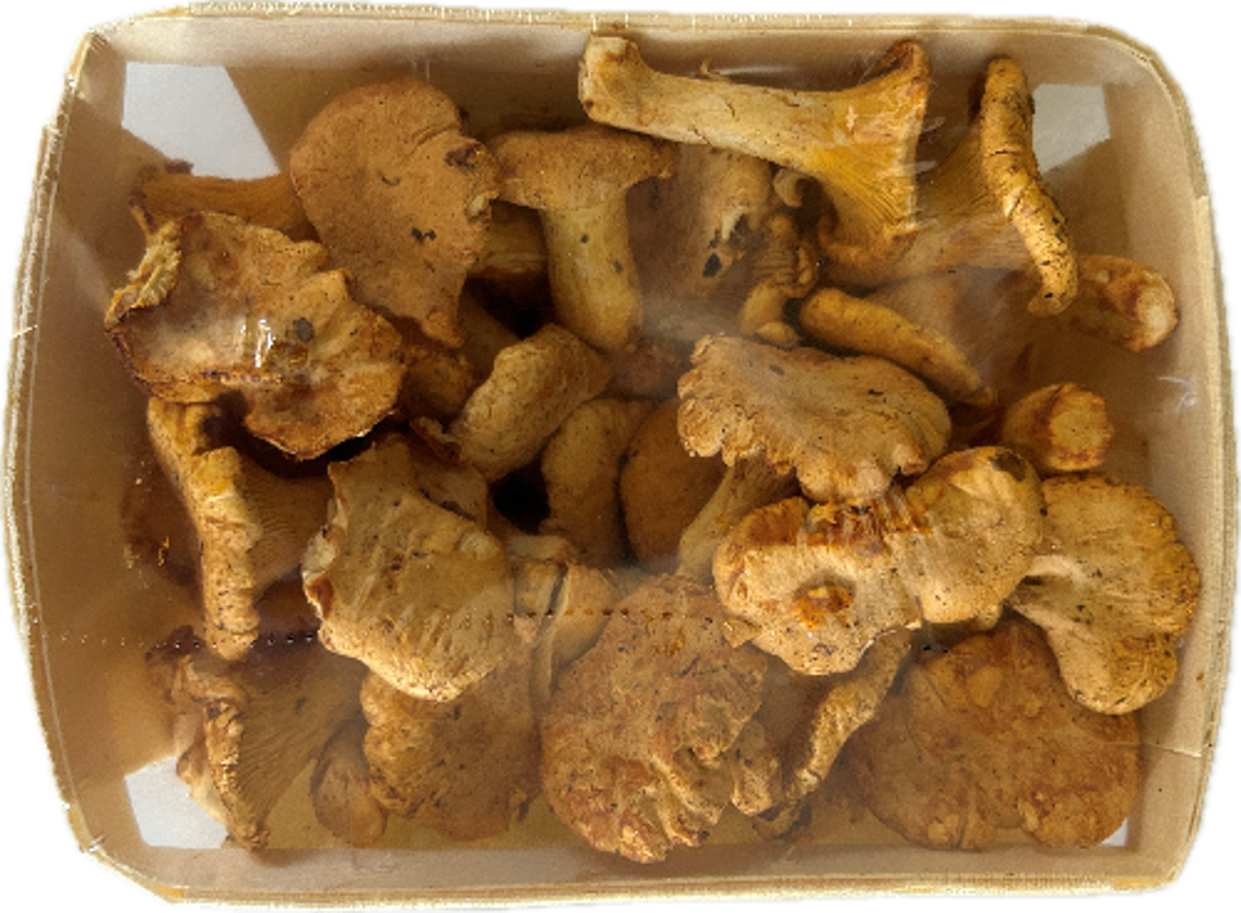 Pfifferlinge