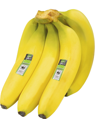 EDEKA Bio WWF Bananen 