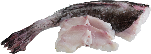 Frische Seeteufelsteaks