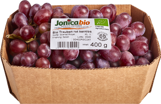 Bio Trauben rot