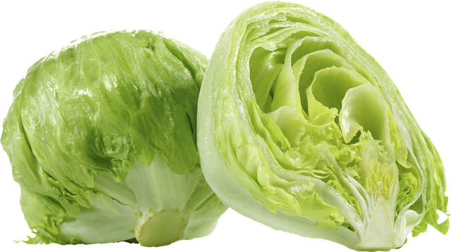 Unsere Heimat – echt & gut Eisbergsalat 