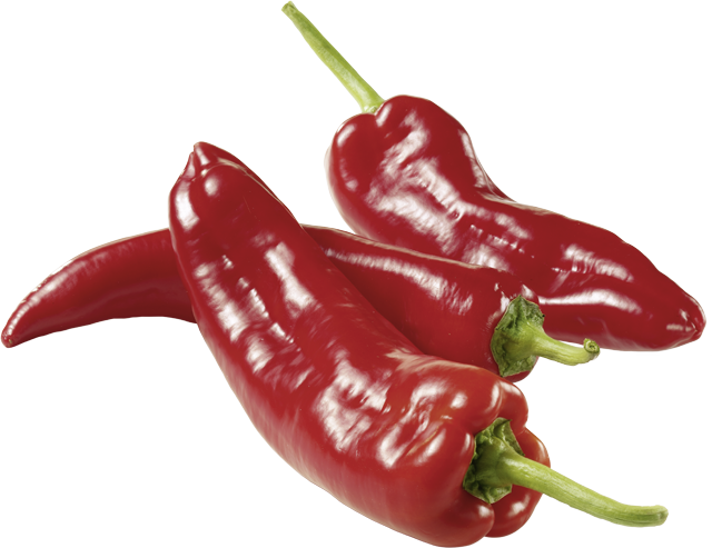 Spitzpaprika rot