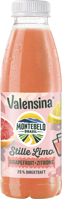 Valensina Montebelo Stille Limo Zitrone+ Limette