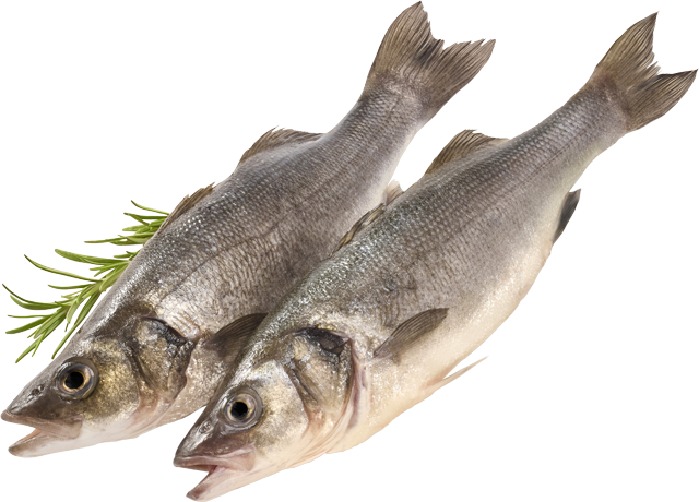 Wolfsbarsch (Loup de Mer) 