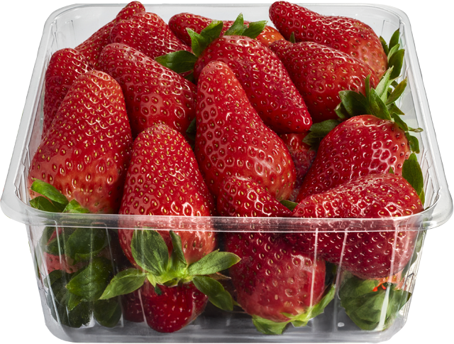 Gut & Günstig Erdbeeren