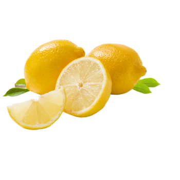 Spanien - Demeter - Bio-Zitronen