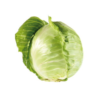 Deutschland - Weiß- oder Rotkohl