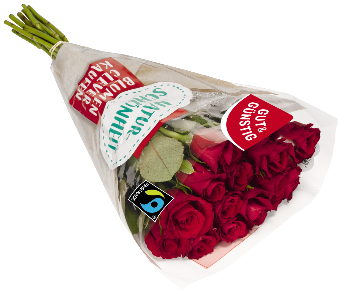 GUT&GÜNSTIG Moosrosen
