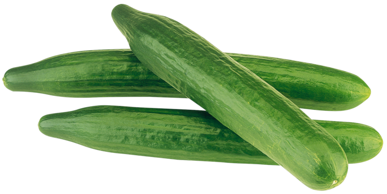 GUT&GÜNSTIG Salatgurke