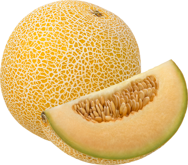Galia Melonen