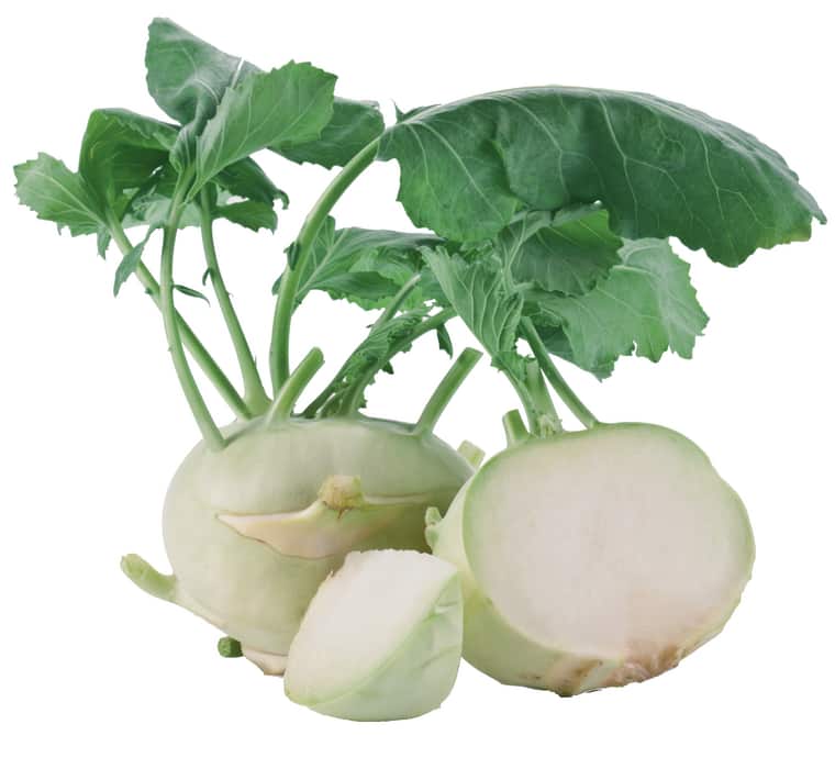 Kohlrabi