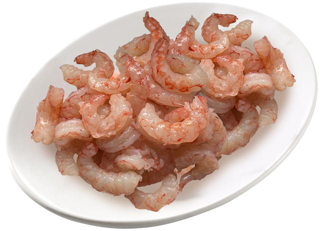 Argentinische Rotgarnelen