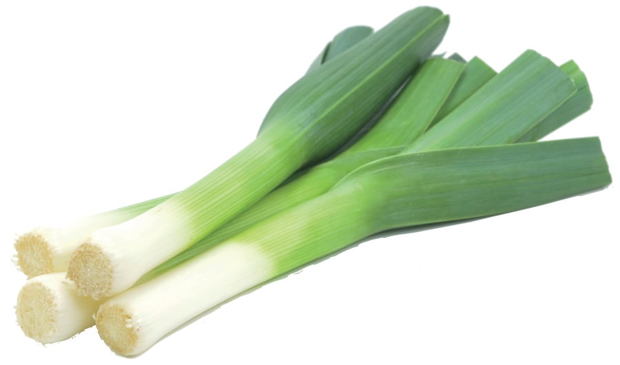 Lauch