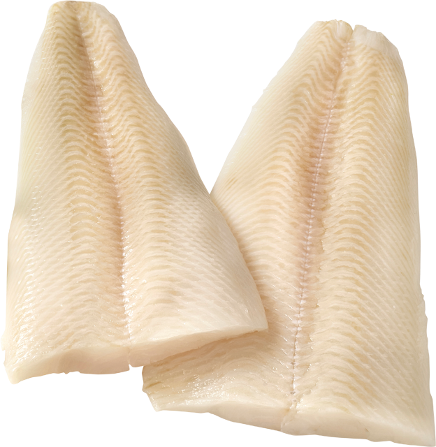 MSC Schwarze Heilbuttfilets