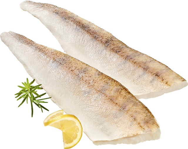 ¹Zanderfilets