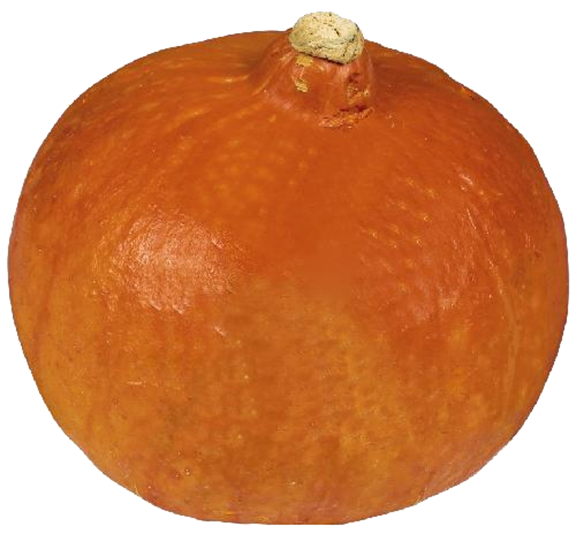 Speisekürbisse Hokkaido oder Butternut