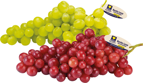 Spanien / Italien EDEKA Herzstücke Tafeltrauben